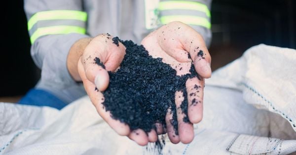 NetZero, green tech francesa, vai inaugurar em Brejetuba fábrica de substância corretiva do solo a partir de cascas do café. Produto ajuda a conter mudanças climáticas