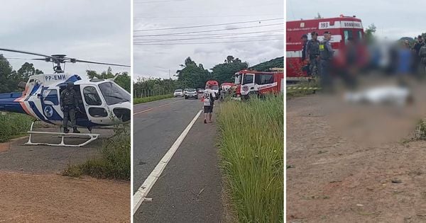 Veículo capotou às margens da ES 375, próximo à localidade de Baixo Pongal, na manhã desta quinta-feira (15); uma mulher foi resgatada, mas não resistiu