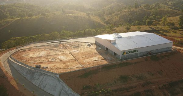 O objetivo da maior cooperativa de conilon do Brasil, em 2024, é ampliar o uso de tecnologia para movimentar mais fertilizantes e café