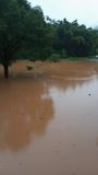 Chuva atinge o município de Santa Leopoldina(Leitor | A Gazeta)