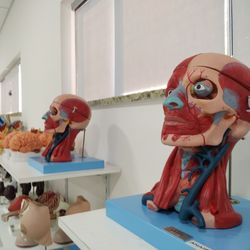 Com dois cursos conceito 5 pelo MEC, o Univc tem investido em um corpo de colaboradores qualificados e em um olhar atento às demandas da região