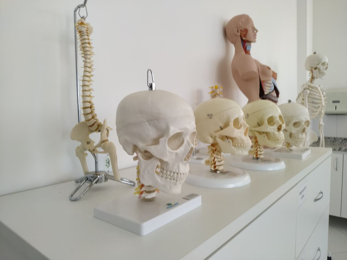 Laboratório de Anatomia por Univc/Divulgação
