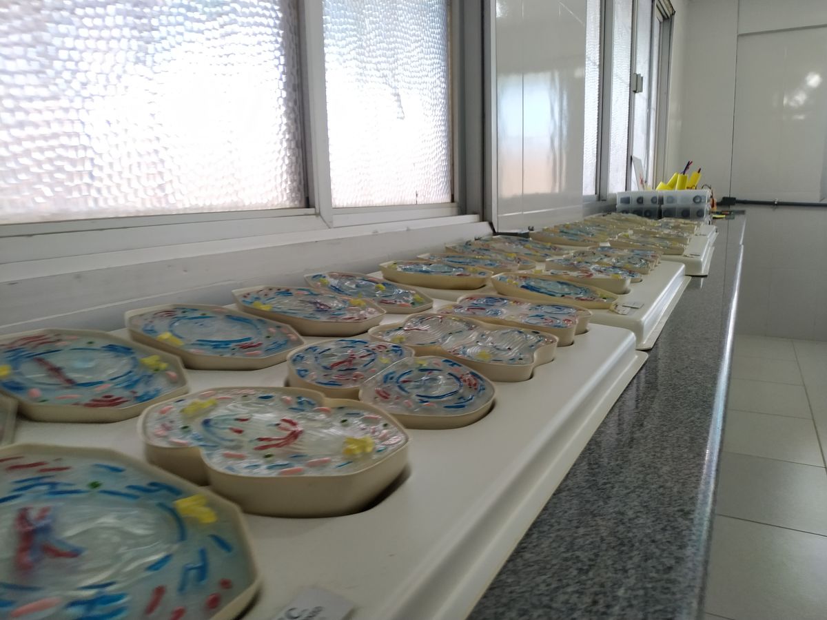 Laboratório de Microscopia por Univc/Divulgação