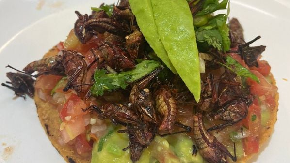 Uma tostada repleta de chapulines, gafanhotos fritos muito consumidos em certas áreas do México, me conectou ao protagonista do seriado mais debochado de Chespirito que vi na infância: Chapolin