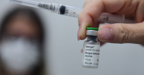 Recorte da faixa etária de 10 a 14 anos foi eleito como o melhor cenário para iniciar a vacinação contra a dengue no Brasil