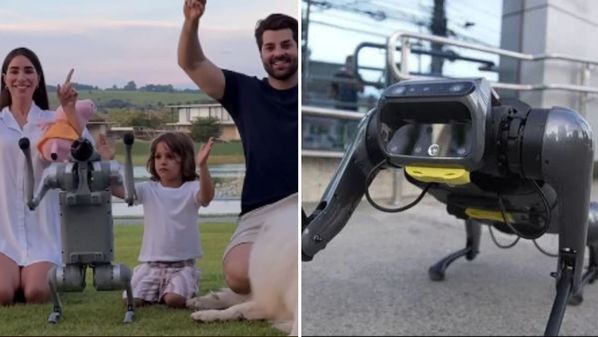 Ele é novidade na vida de Alok, mas não em terras capixabas. Um cão-robô parecido com o do DJ passeava pelas ruas do ES em 2023 e foi destaque em HZ