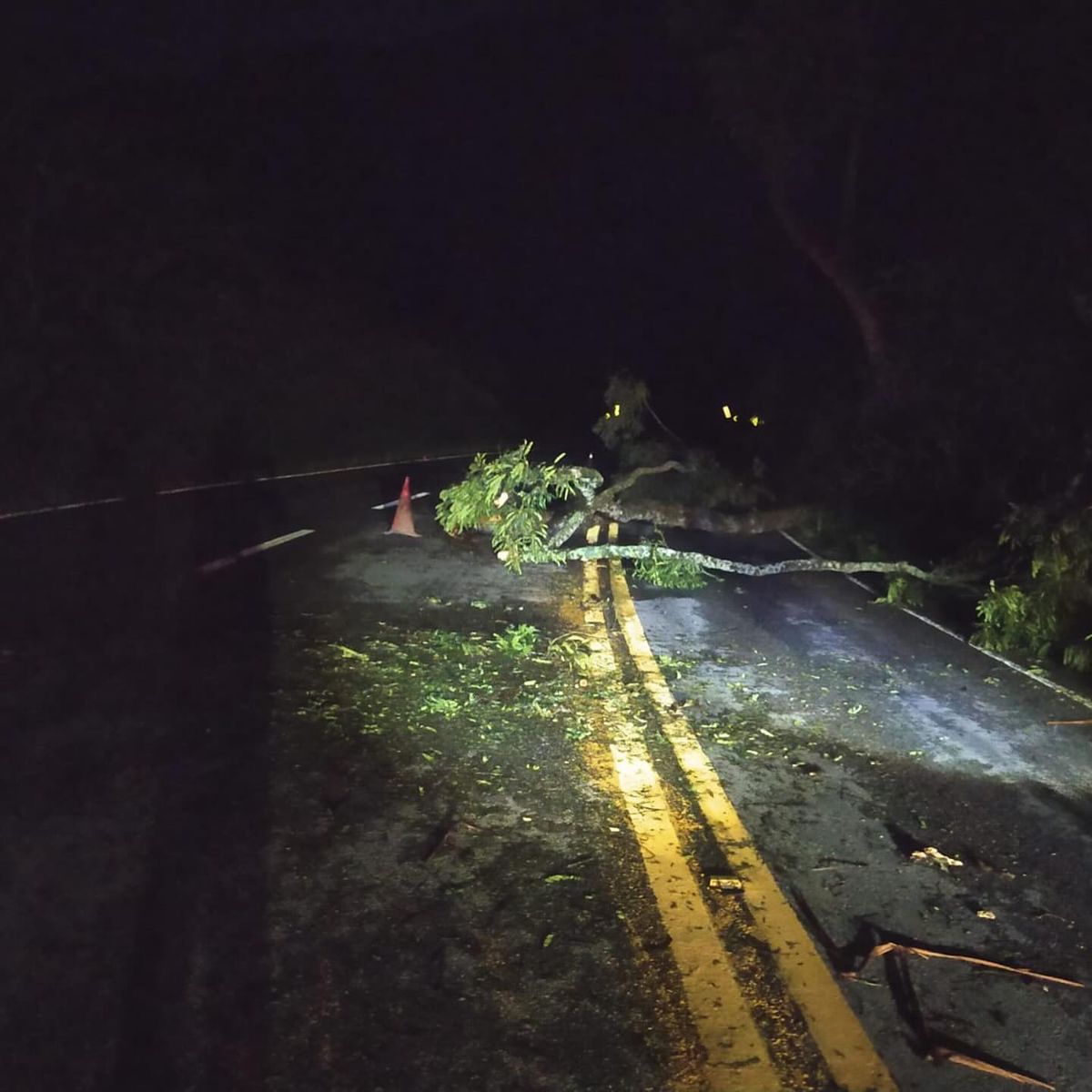 queda de árvores na ES 181, entre Piaçu e BR 262 por Defesa Civil de Muniz Freire