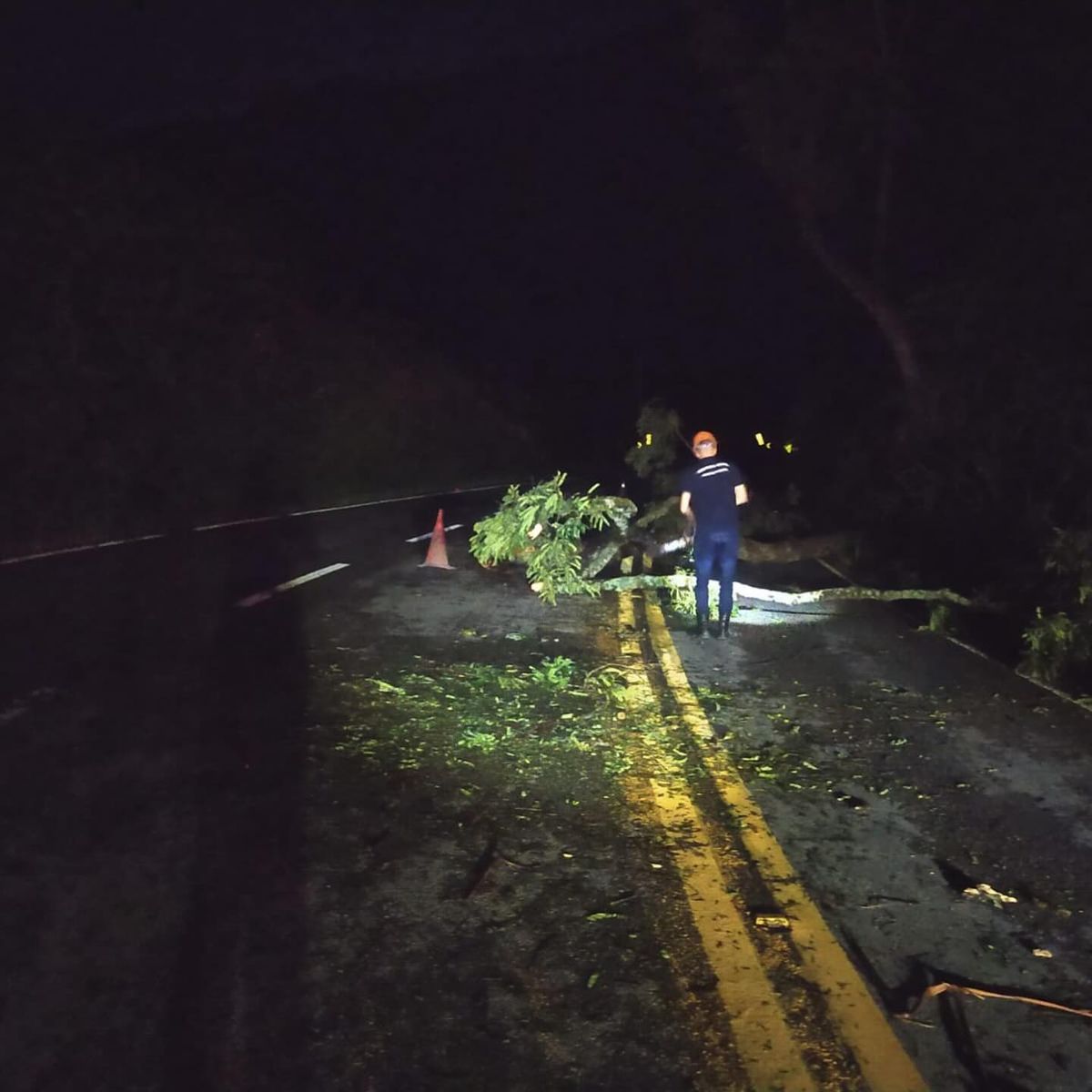 Queda de árvores na ES 181, entre Piaçu e BR 262 por Defesa Civil de Muniz Freire