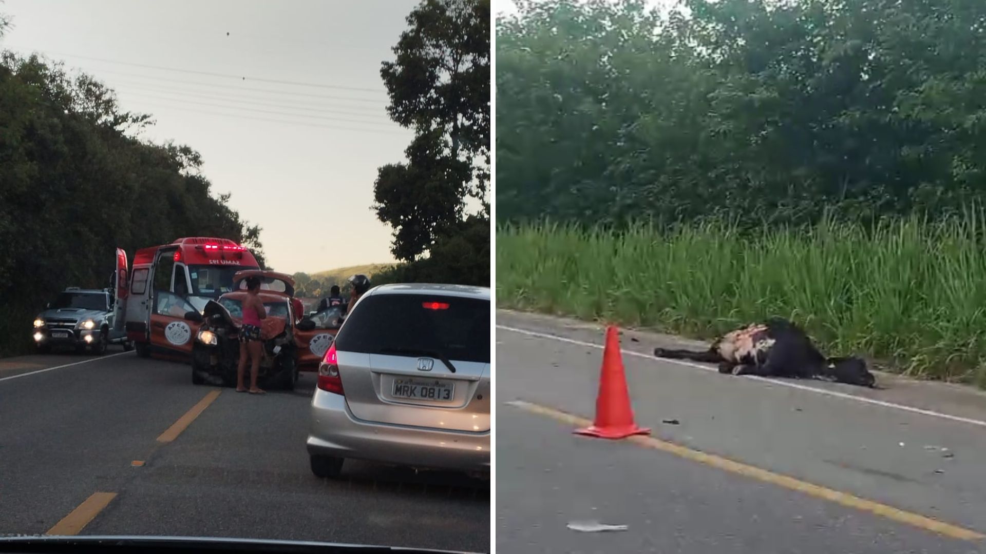 Acidente envolvendo moto, automóvel da Prefeitura de Marataízes e a vaca ocorreu na manhã desta terça-feira (5); três pessoas ficaram feridas, e animal atingido morreu no local