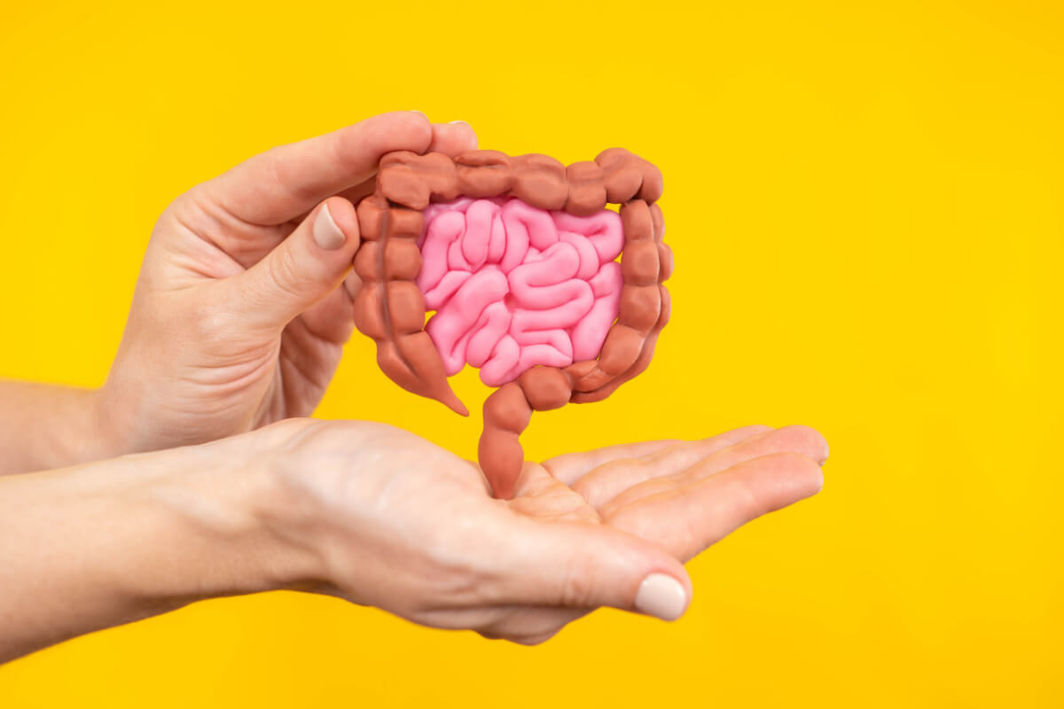 Imagem Edicase Brasil