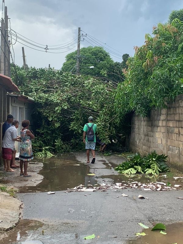 undefined por Leitor A Gazeta