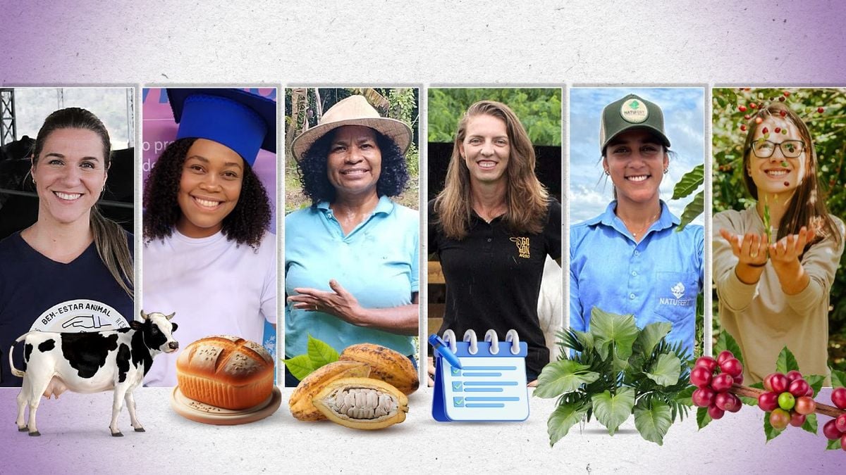 Karla, Jamile, Léia, Renata, Aline e Jéssica: mulheres que escolheram empreender no agro