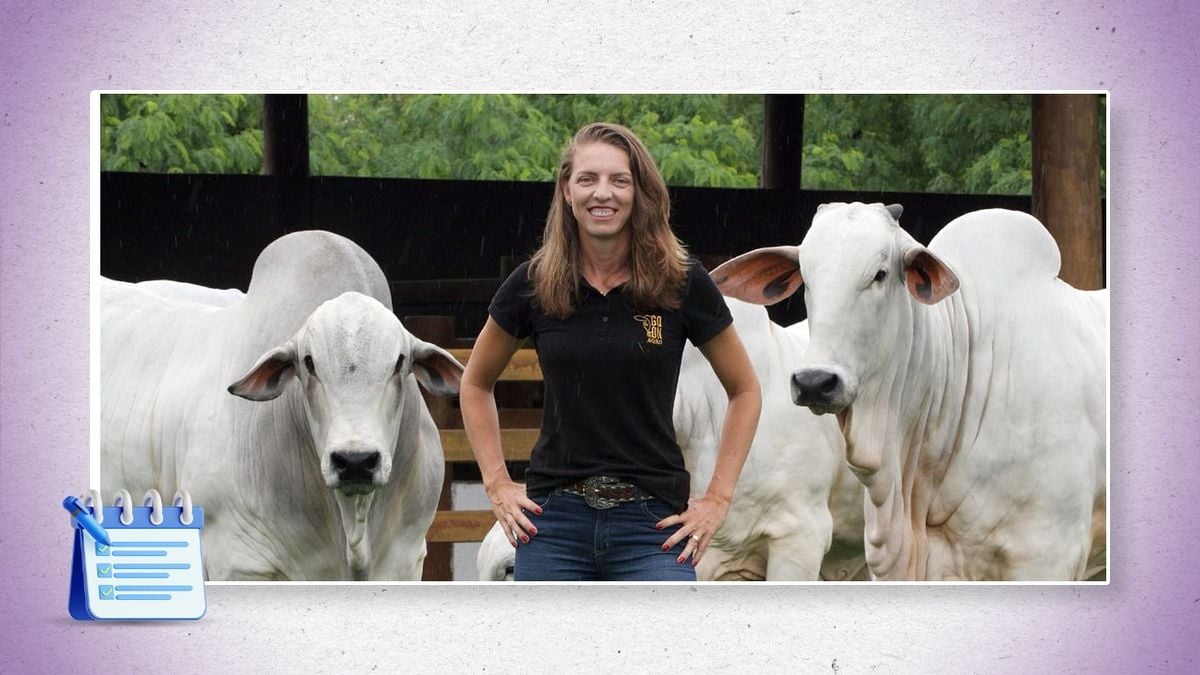 Renata Erler tem empresa de gestão de fazendas