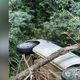 Imagem - Carro da Prefeitura de São Roque do Canaã capota na ES 080