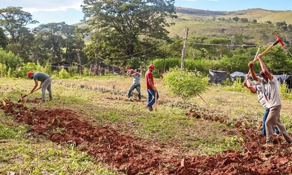 A ocupação da fazenda Aroeiras foi realizada por cerca de 500 famílias do MST