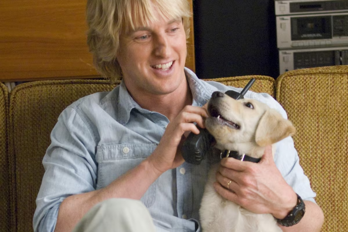 22 cachorros foram usados no filme 'Marley & Eu'