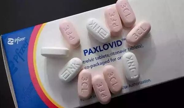 Medicamento Paxlovid em 85% o risco de hospitalização em decorrência da Covid-19, segundo infectologista