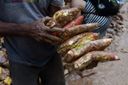 Pessoas tentam encontrar alimentos em meio à lama da destruição em Mimoso do Sul(Fernando Madeira)