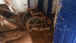 Casa para deficientes onde cinco pessoas morreram fica destruída em Mimoso do Sul