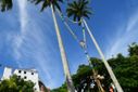 Terço Gigante é montado entre as palmeiras do Convento para a Festa da Penha 2024(Carlos Alberto Silva)