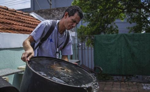 À medida que os casos de dengue aumentam, as notificações de infecção de chikungunya e zika também registram crescimento no país; as duas doenças também têm como transmissor o 'Aedes aegypti'