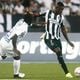 Imagem - Botafogo sofre apagão e perde para o Junior Barranquilla na Libertadores