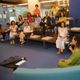 Imagem - Confira a programação do Dia da Criatividade em Vitória, Vila Velha e Serra