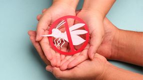 Ouça entrevista com João Paulo Cola, referência técnica das Arboviroses da Sesa