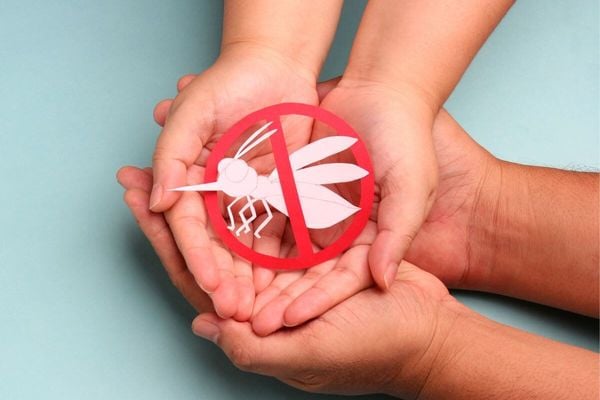 O Aedes aegypti é perigoso? 8 respostas para dúvidas sobre a dengue