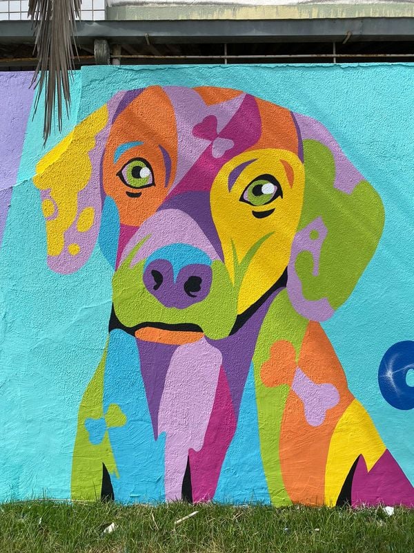 Mural “Amor de 4 Patas”, em Vitória por ICORES