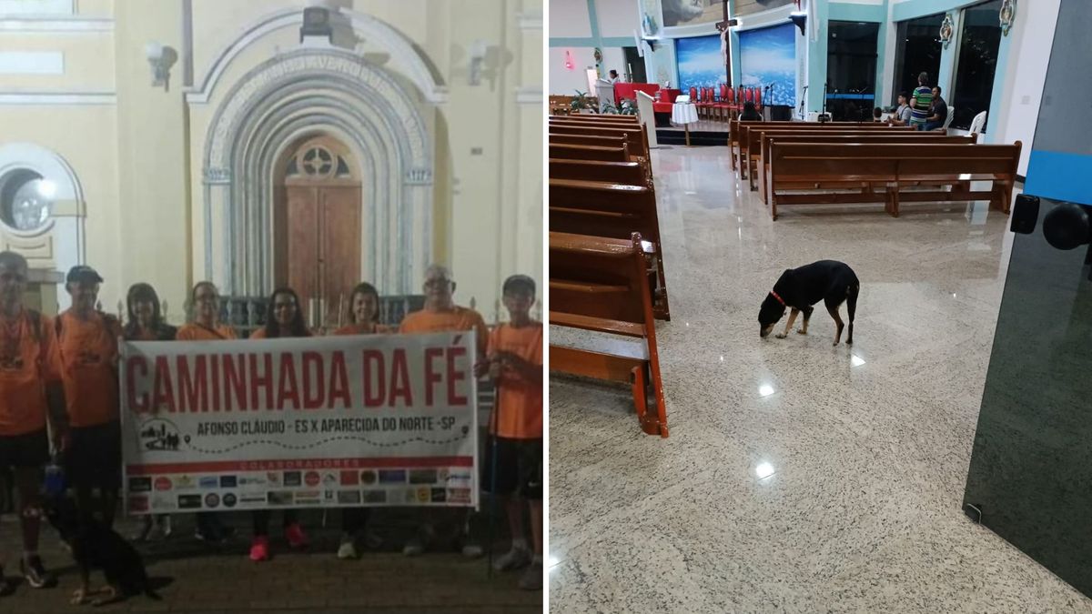 Patinha veio junto com um grupo de romeiros que saíram de Afonso Cláudio 