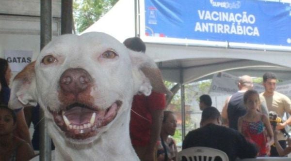 ​Vacinação antirrábica e outras ações de saúde sábado no SuperAção