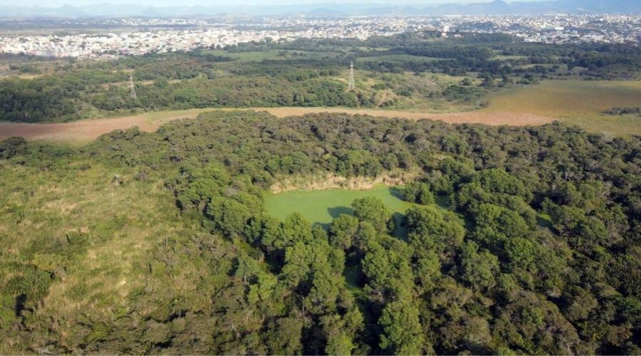 Acordo firmado entre o proprietário de uma fazenda e o Ministério Público Federal prevê que dinheiro será investido na criação de uma nova unidade de conservação em Vila Velha
