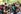 Chegada do time do Fluminense no hotel Golden Tulip em Vitória. O time carioca enfrenta o Sampaio Correia pela Copa do Brasil no Estádio Kléber ANdrade(Vitor Jubini)