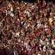 Imagem - "Fundamental", diz Diniz sobre o carinho da torcida do Fluminense no ES