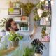 Imagem - 7 dicas para cuidar de plantas em casa