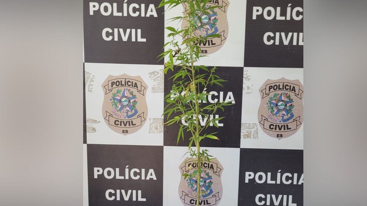 Operação nacional Nárke por Polícia Civil