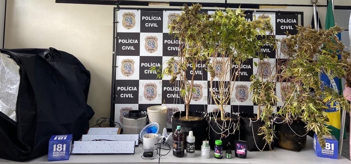 Operação nacional Nárke por Polícia Civil