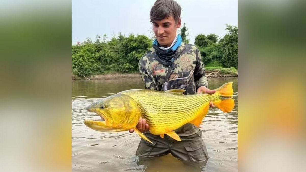 O vídeo foi publicado na página do Ray Guati, 