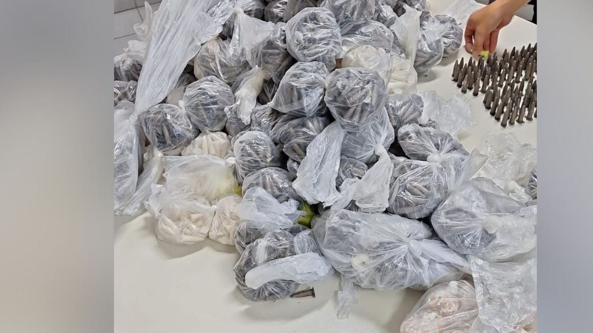 Mais de 10 mil pinos de cocaína e 849 pedras de crack são apreendidas em Flexal II, em Cariacica.