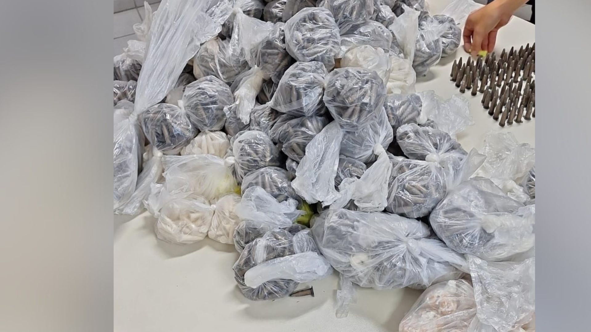 Além dos 10 mil pinos de cocaína, a Polícia Civil encontrou 849 pedras de crack; todas estavam escondidas atrás de uma árvore no bairro Flexal II, em Cariacica