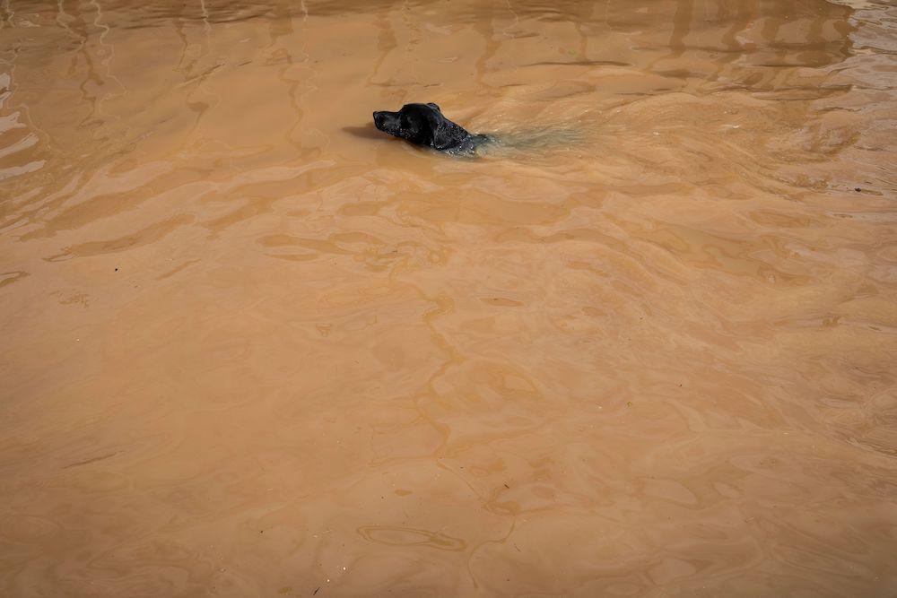 Imagem BBC Brasil