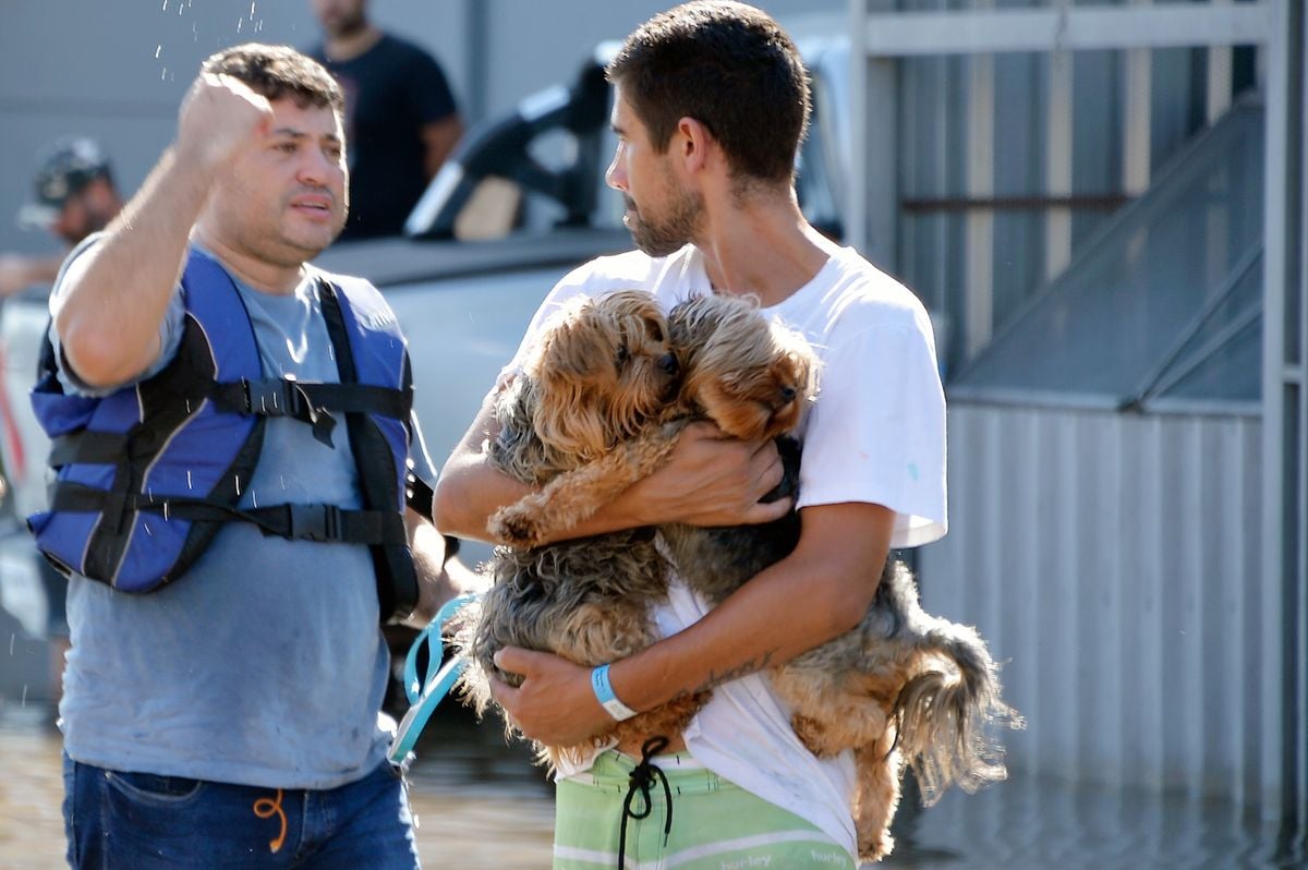 Bombeiros e voluntários no resgate de pessoas e animais em Porto Alegre