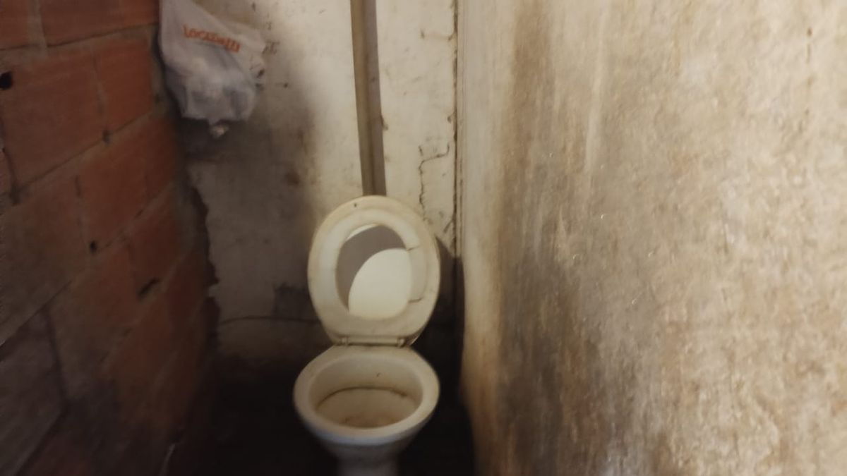 undefined por Divulgação | MTE