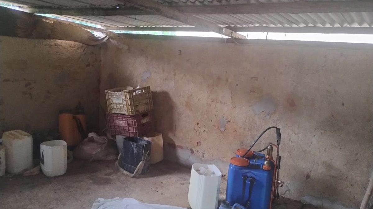 undefined por Divulgação | MTE