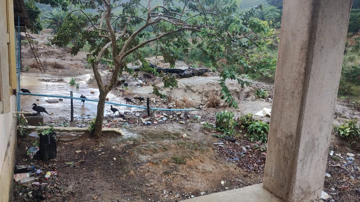 undefined por Divulgação | MTE