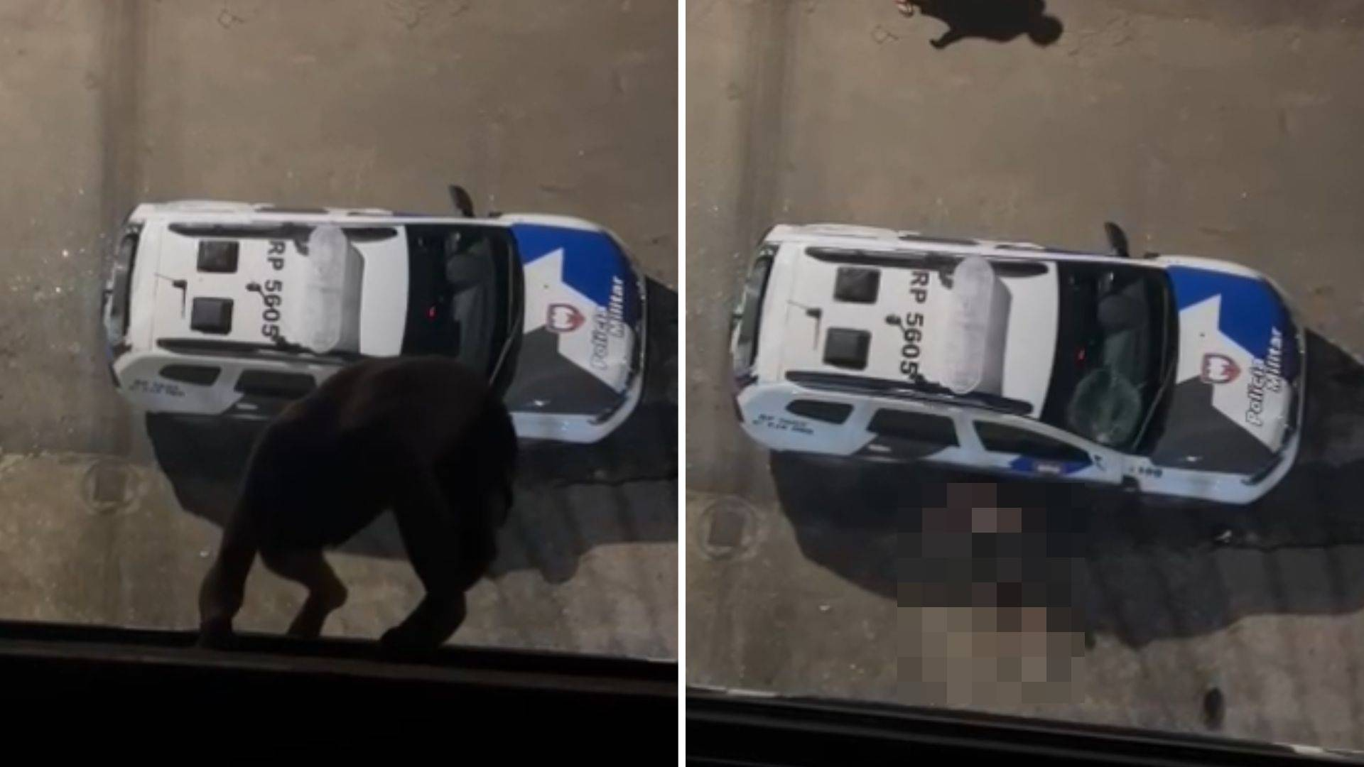 Homem tentou fugir da PM, mas acabou caindo perto de viatura em Marechal Floriano