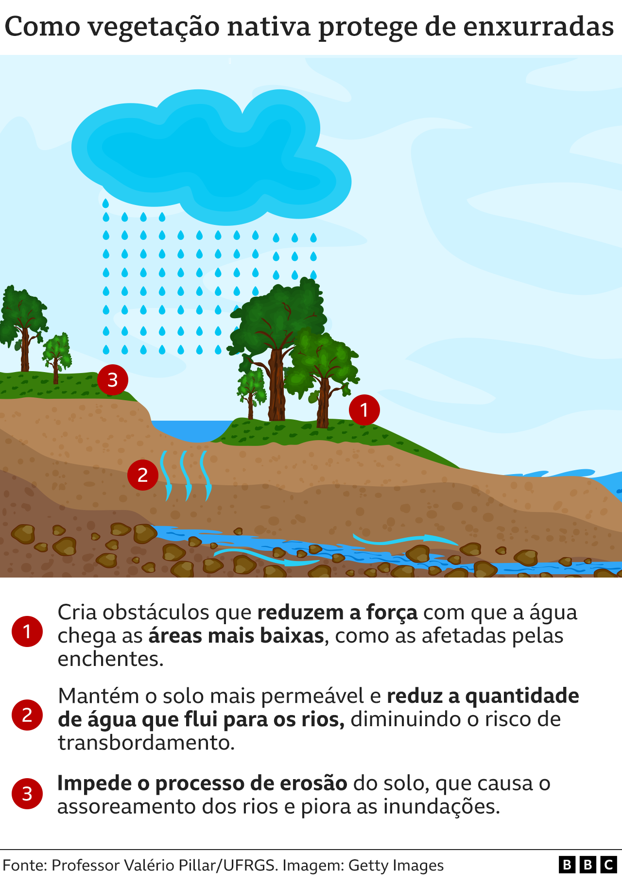 Imagem BBC Brasil