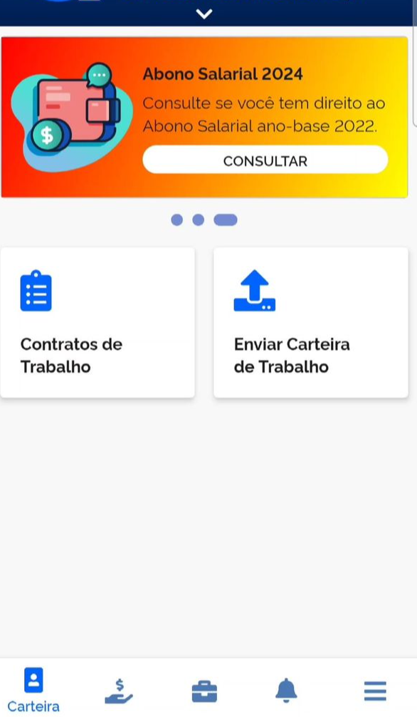 Passo 2: Acesse a plataforma com sua conta gov.br