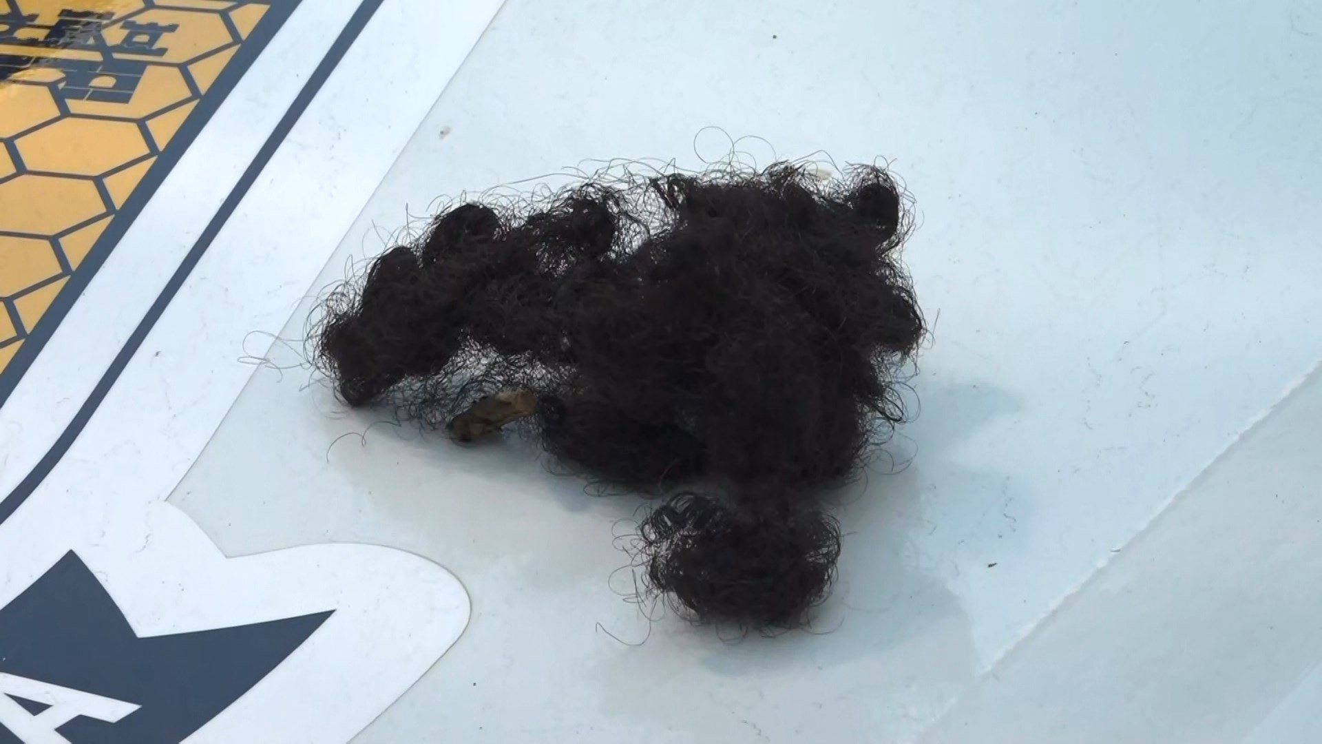 Suspeito cortou cabelo de vítima